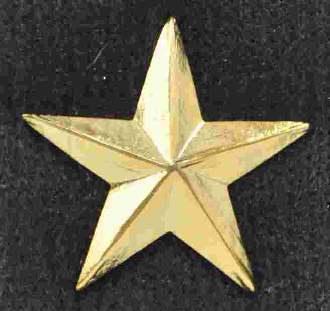 Gold Star Pin Sold in pairs #FRU-X231